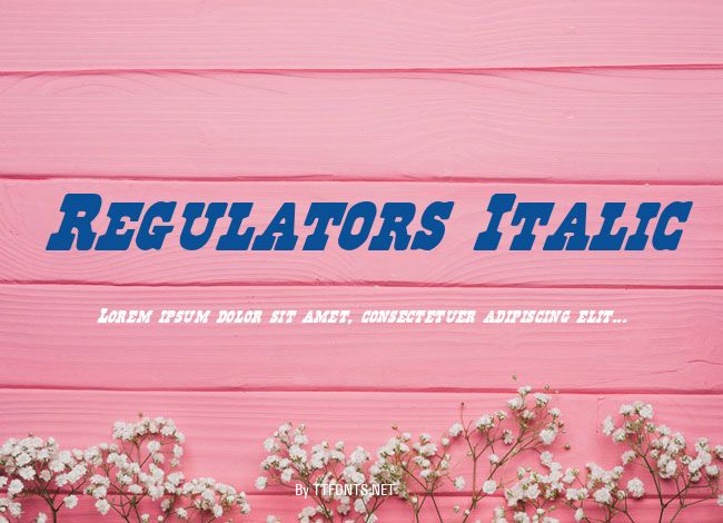 Regulators Italic example